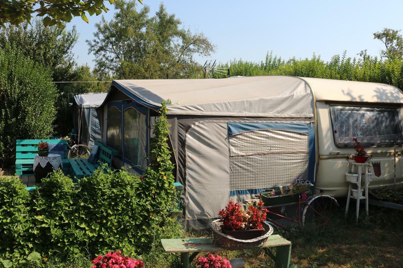 Mandel Camping ปาลอซนัค ห้อง รูปภาพ